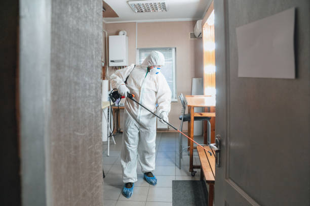 Asbestos and Lead Testing During Mold Inspection